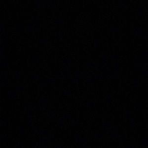 Meet your Posher, Max